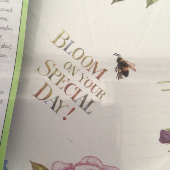 NATURES SKETCHBOOK HALLMARK MARJOLEIN BASTIN SPECIAL DAY PLATE NWT - Picture 3 of 8